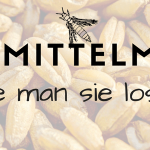 Lebensmittelmotten - Deshalb sind sie so gefährlich