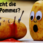 wer-macht-die-besten-pommes