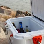 Elektrische Kühlbox am Meer